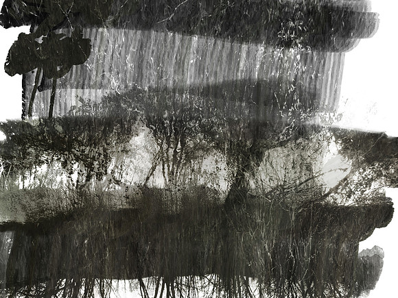 18-81
