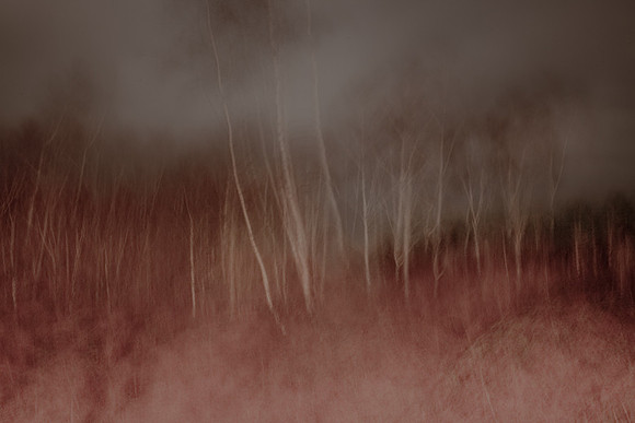 25-01-11-36