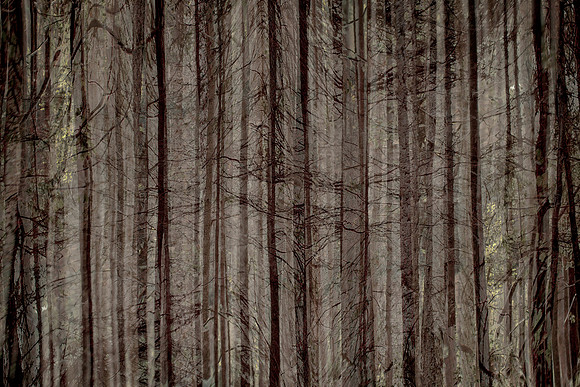 2013-10-03-218-2-2