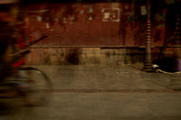 delhi #507