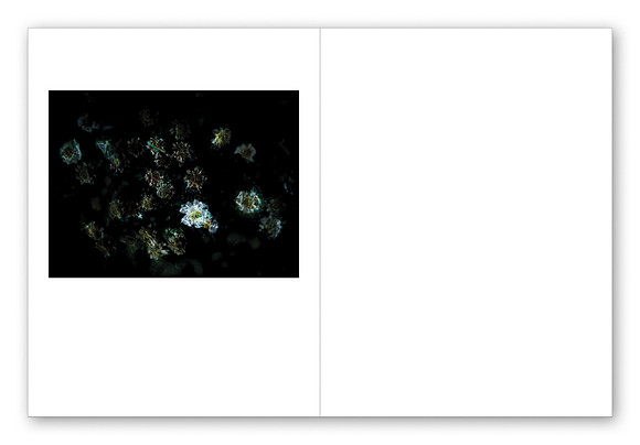 JWE-JW-RL-V210x280-PR-Spreads51_1080px