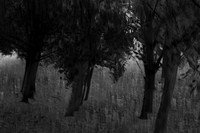 2013-09-30v2-440