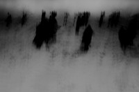 winter #4