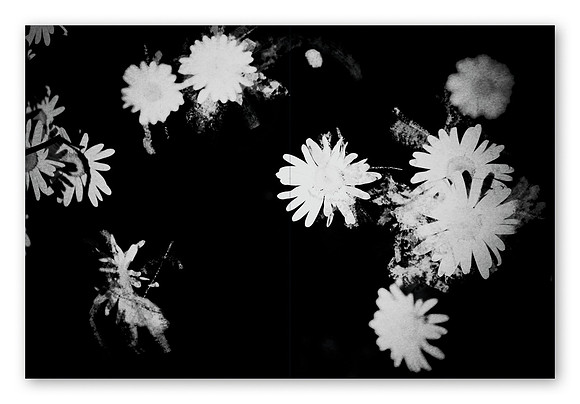 JWE-JW-RL-V210x280-PR-Spreads10_1080px