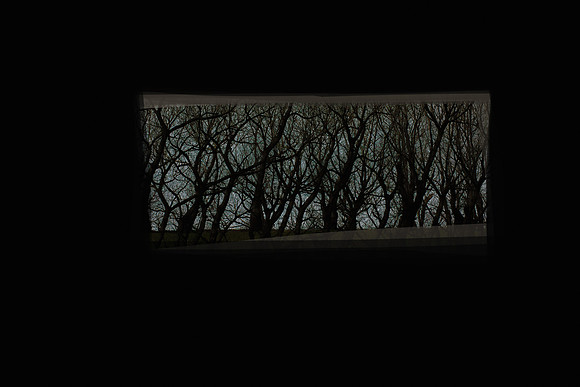 140315#240