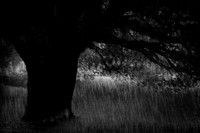 2013-09-30v2-269