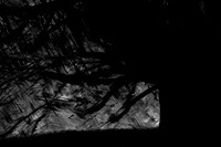 2013-09-22-390