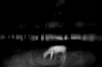 2011-09-02-52-2