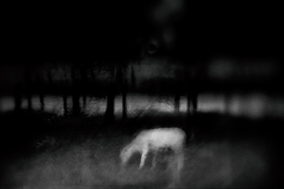 2011-09-02-52-2