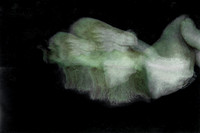 250314 #140-9-4