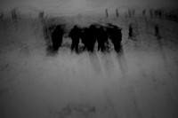 winter #1