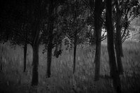 2013-09-30v2-229