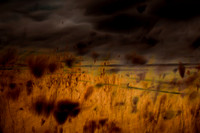 multiple exposure #5