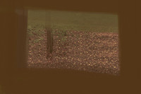 2013-09-12-88-2