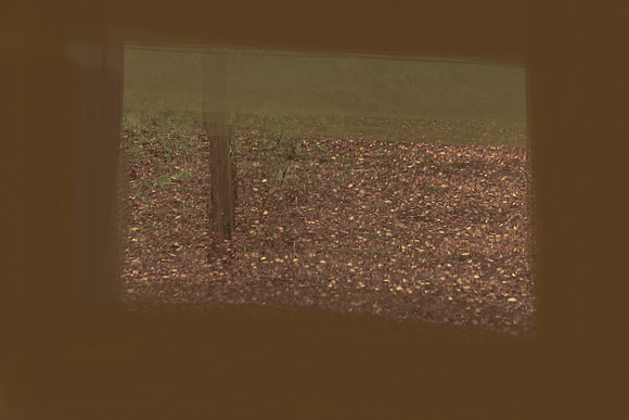 2013-09-12-88-2