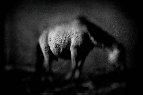 17-03-09 050-Edit