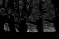 2013-09-22-249
