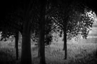 2013-09-30v2-250