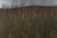 090114-124