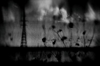 untitled-73