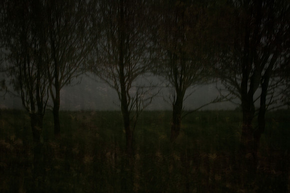autumn #1