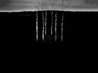 260916-2-5
