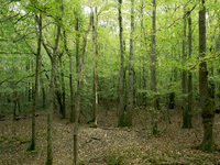 201016-2-4