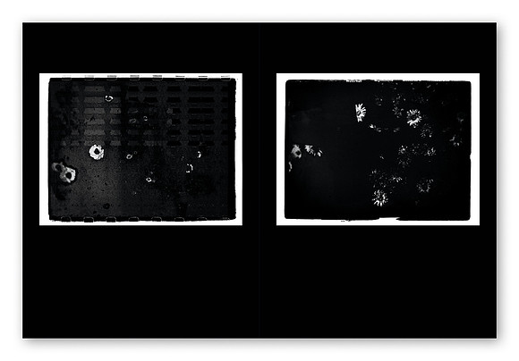 JWE-JW-RL-V210x280-PR-Spreads14_1080px