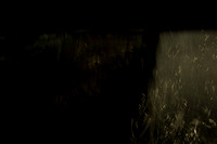 20140203-030214 #317