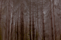 2012-10-21-132-3