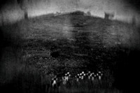 WW1-33-2