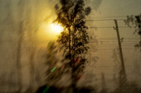 agra #83