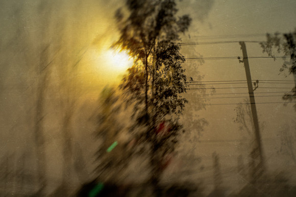 agra #83