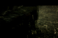 20140203-030214 #332
