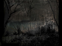 291116-3-3