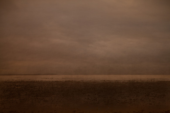 shoreline #25