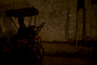 delhi #502