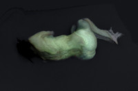 280314 #411-2