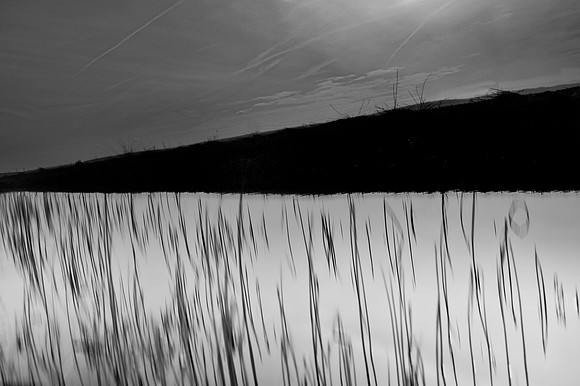 v2 bw