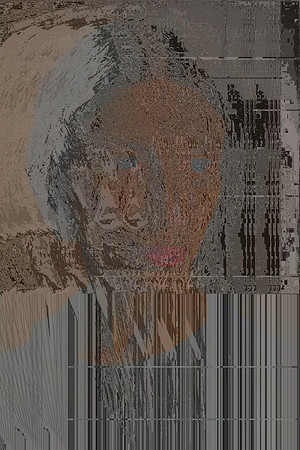 46-2