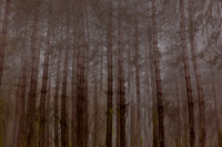 2012-10-21-132-5