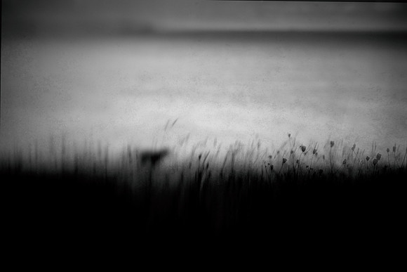 2012-09-20-95-3