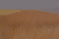 070315#214