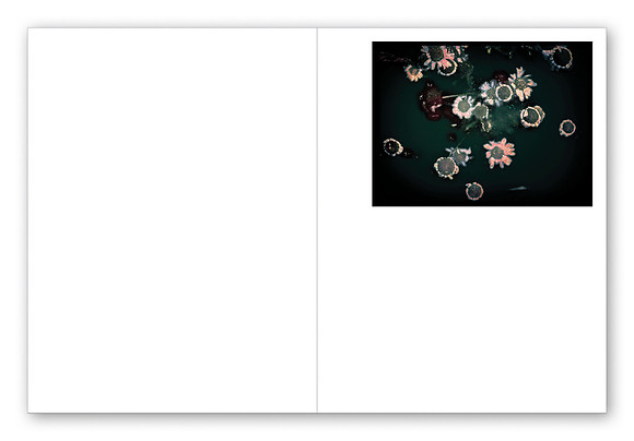 JWE-JW-RL-V210x280-PR-Spreads41_1080px