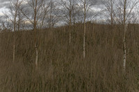 090114-288