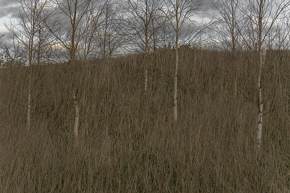 090114-288