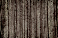2013-10-03-218-5-3