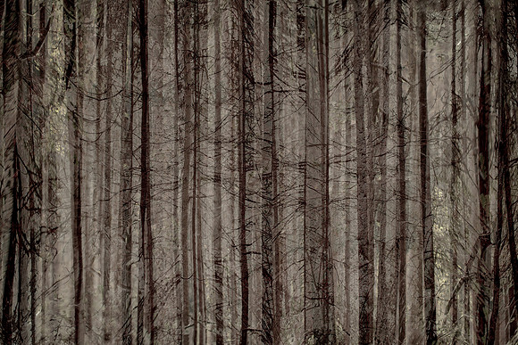 2013-10-03-218-5-3