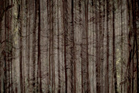 2013-10-03-218-3-4