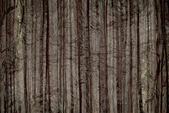 2013-10-03-218-3-4